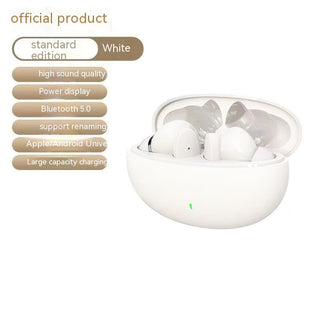 Wireless Bluetooth In-Ear Noise Cancelling Earphones