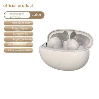 Wireless Bluetooth In-Ear Noise Cancelling Earphones