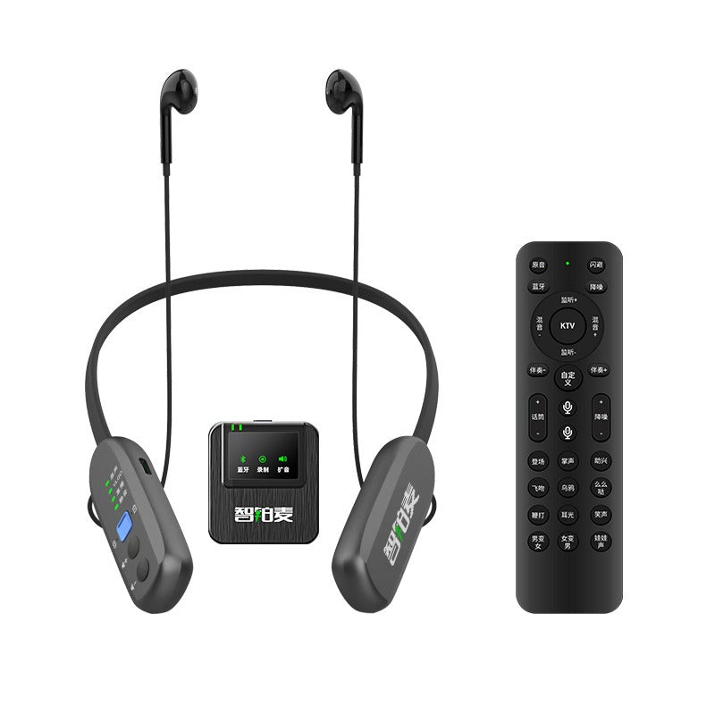 Wireless Sound Card Microphone Set