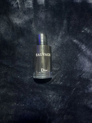Dior Sauvage Eau de Parfum Spray 100ml | Men's Fragrance